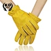 Sport gloves
