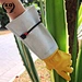 Long Gloves