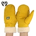 Winter Gloves