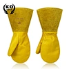 BBQ gloves