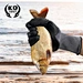 TPE gloves