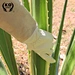 Welding Gloves