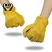 Sport gloves
