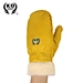 Winter Gloves