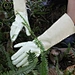 Welding Gloves