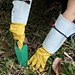 Long Gloves