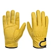 Factory Direct Sales First Layer Cowhide Work Gloves Riding Woodworking Handling Gardening Welding Labor Insurance Gloves