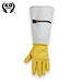 Long Gloves