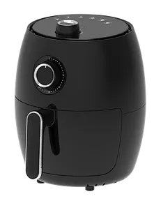 2l fryer