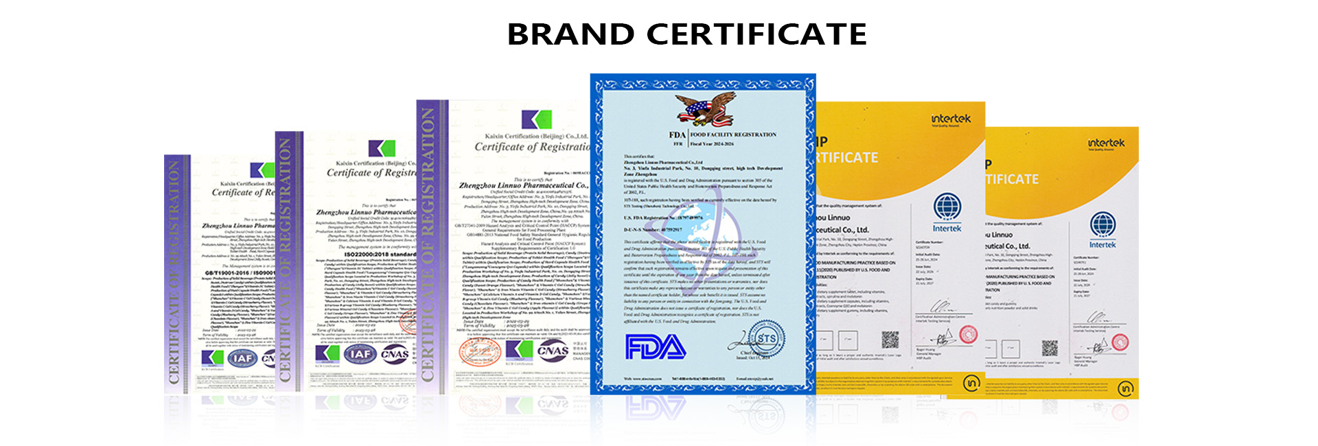 GMP, FDA