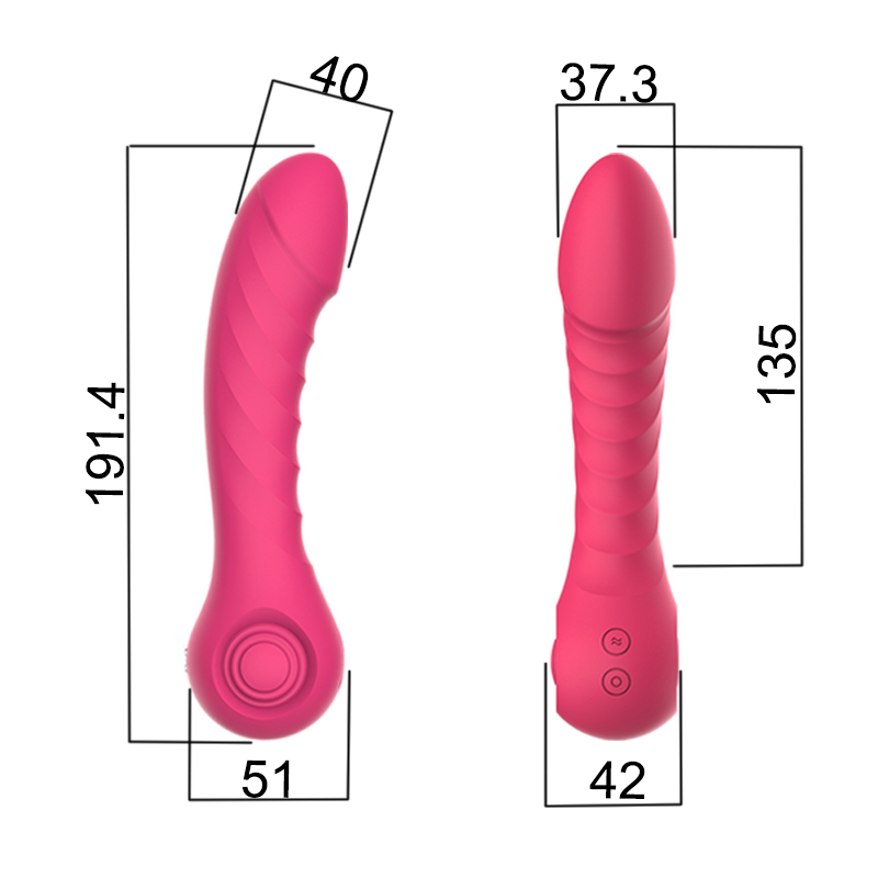 multi-functional vibrator