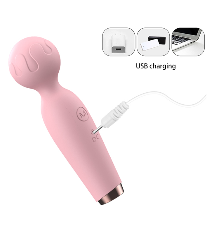 vibrator wand