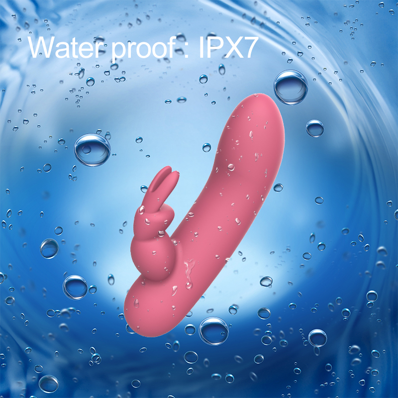 dual rabbit vibrator