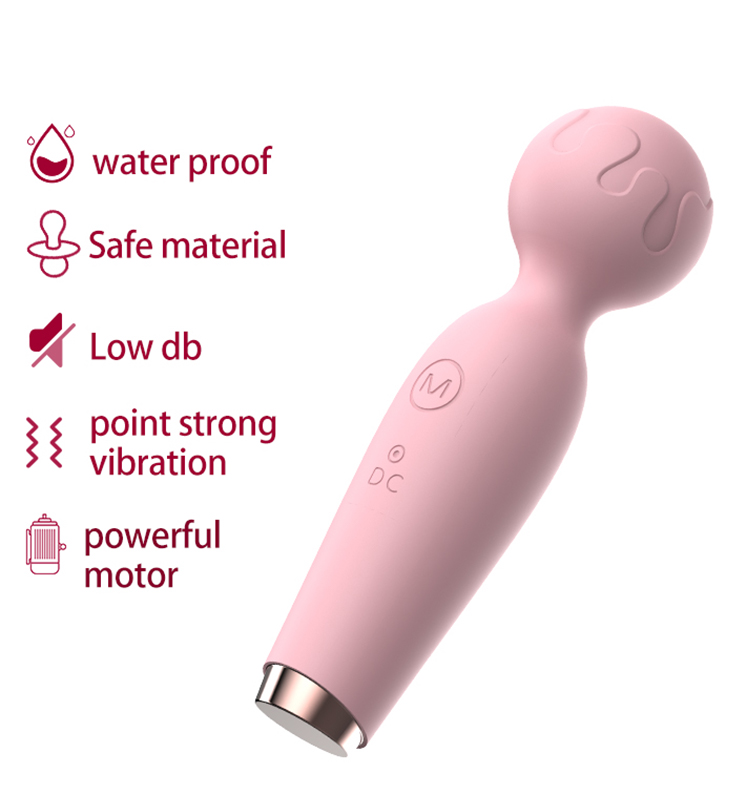 vibrator wand