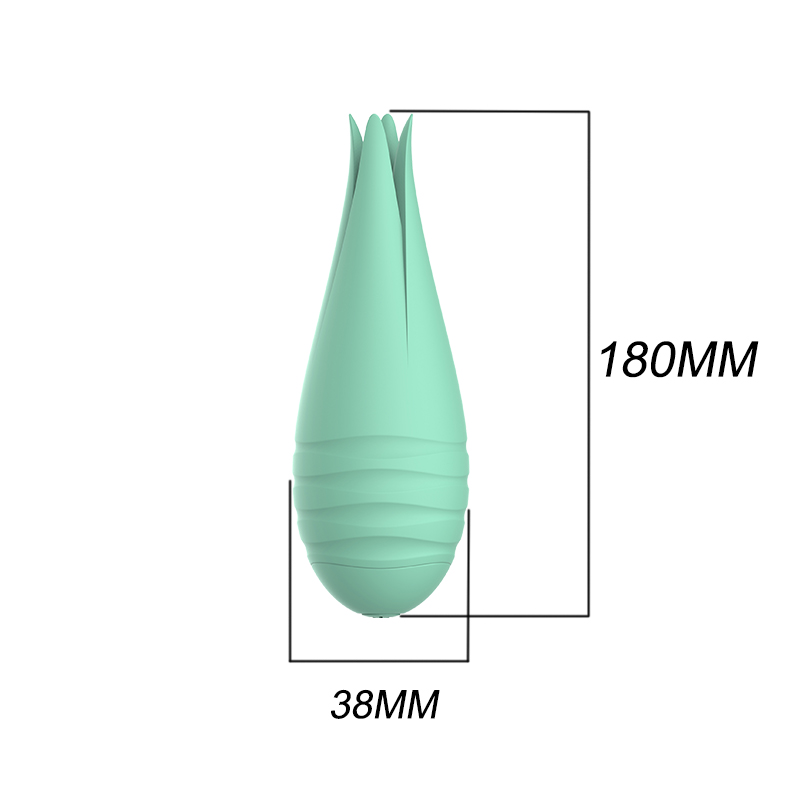vaginal vibrator