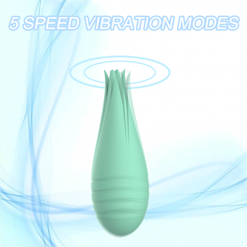 vaginal vibrator