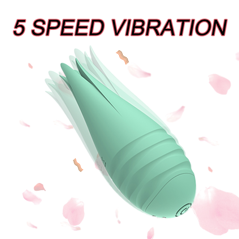 vaginal vibrator