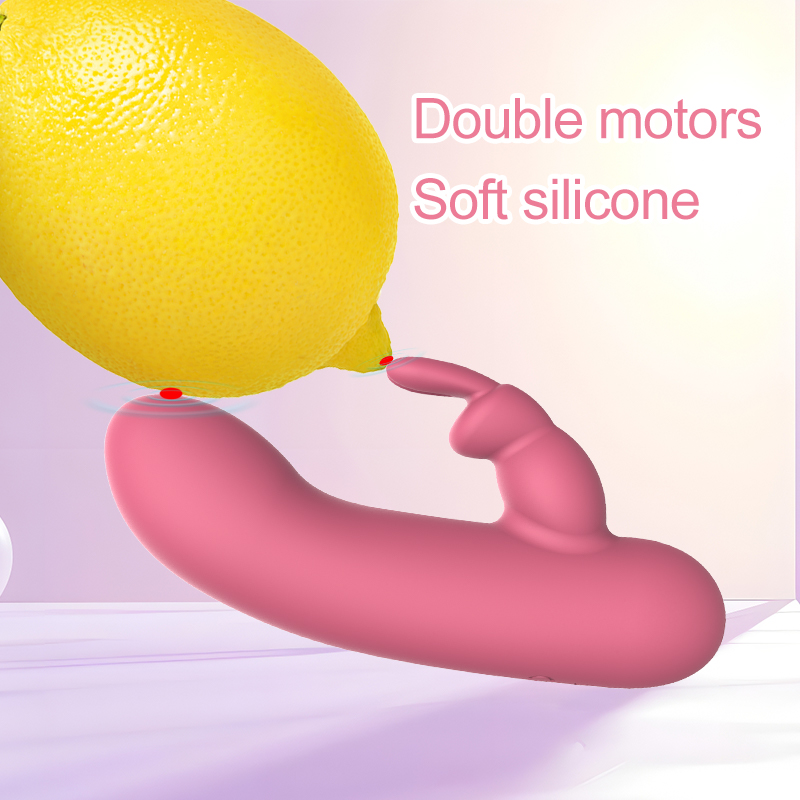 dual rabbit vibrator