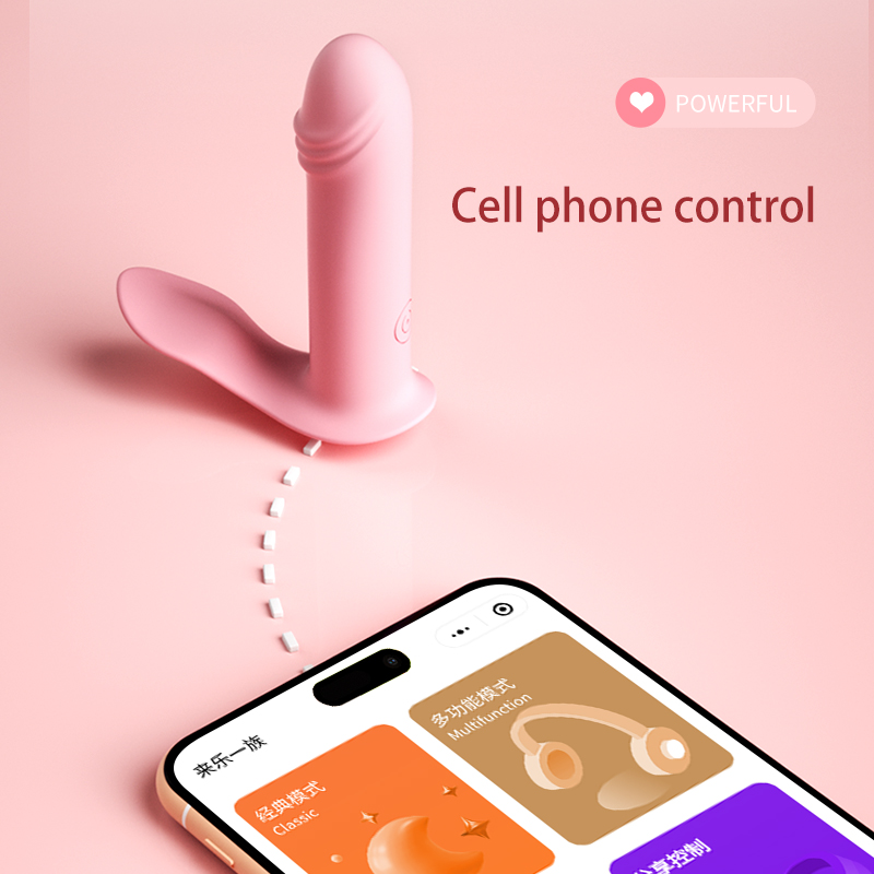 wearable sex toys