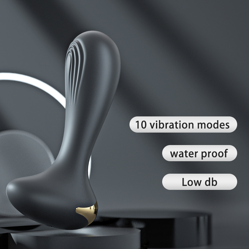 Anal Plug for Beginners
