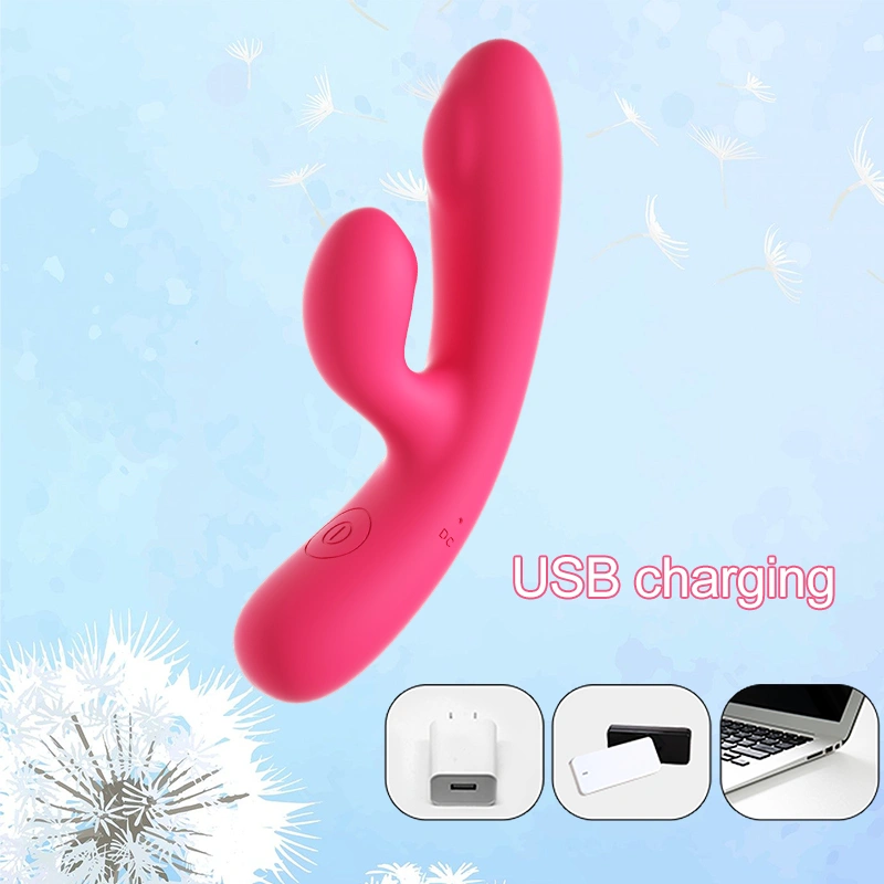 dual head vibrator