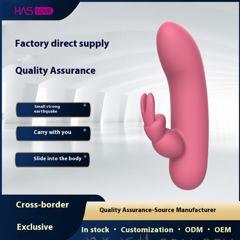 dual rabbit vibrator