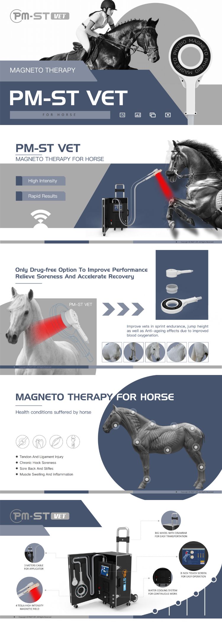 Horse Magnetotherapy Machine
