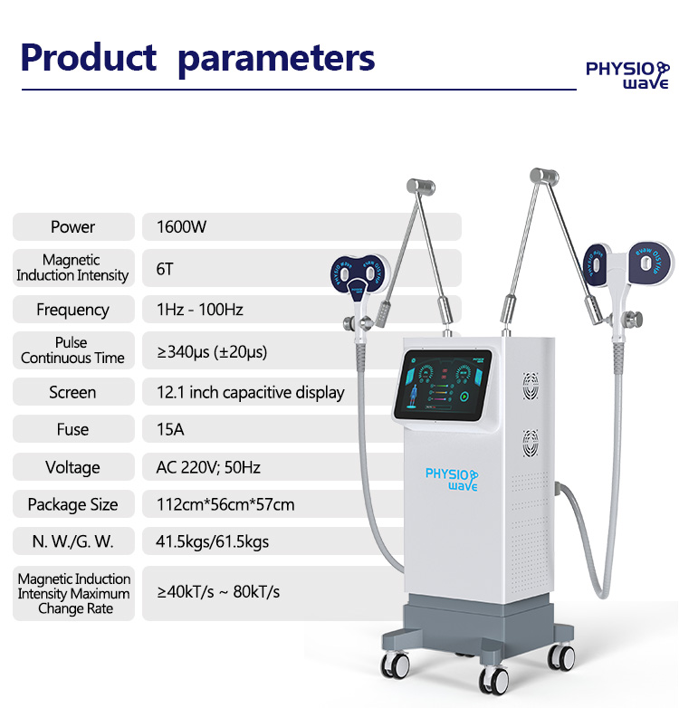 PMST Magnetic Therapy Device