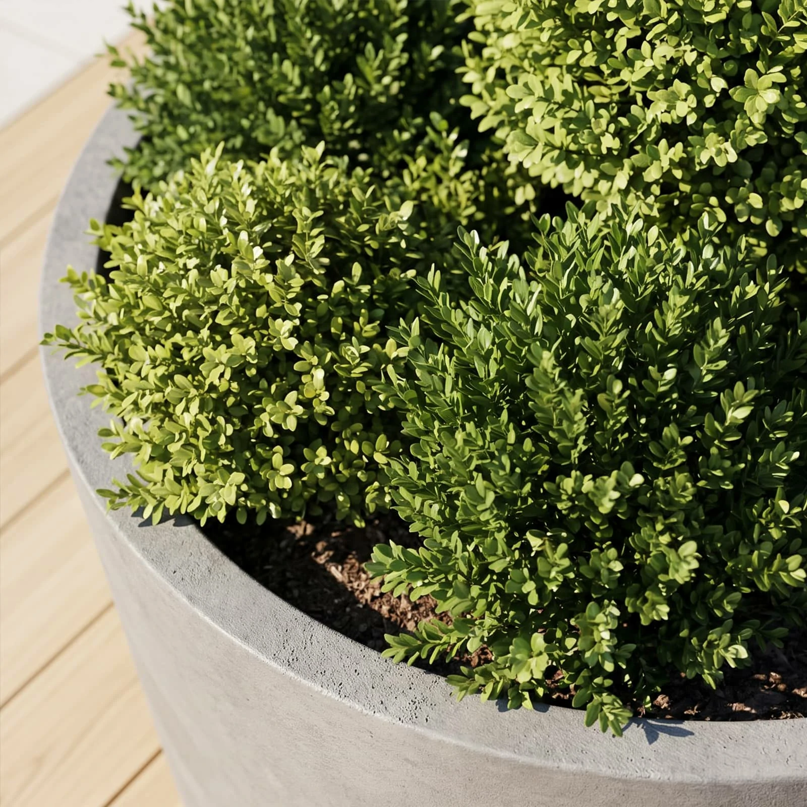 Close-up of the RC-1066 round planter rim and planted opening