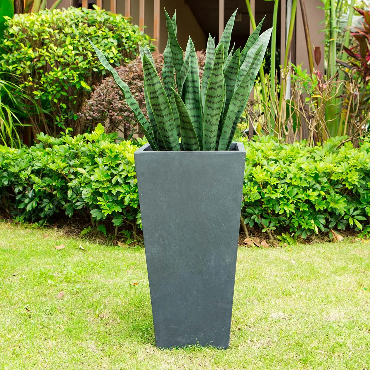 black and tall outdoor tall decor concrete planters display in garden