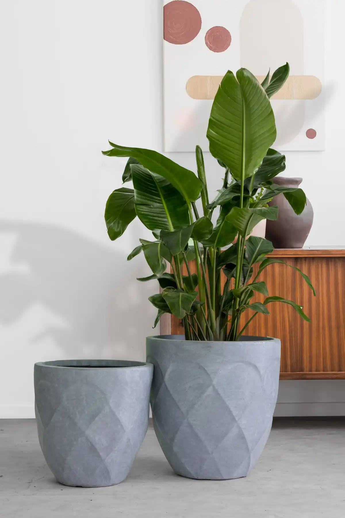 Durable GRC planter boxes and round concrete pots in multiple shapes and sizes