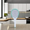 fly catcher outdoor