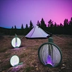 bug zapper light