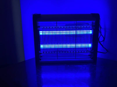 bug lights