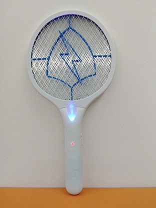 plastic fly swatter