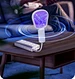 portable fly zapper