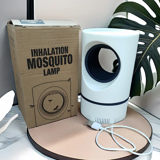 fruit fly trap | czafm.com