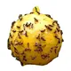 Fly Ball Trap for Mosquito