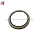 CH10056LF17533 fuel Filter