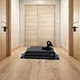 canopy access door latches