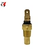 Temperature Sensor Water