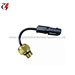 Coolant Temperature Sensor Switch