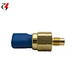 Sensor Coolant Switch