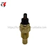 Temperature Sensor