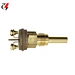 Es2t-250-300 3/8-18 NPT