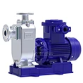 CYZ-A-L inline self priming oil pump