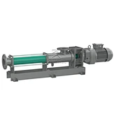 Progressive cavity pump side view
