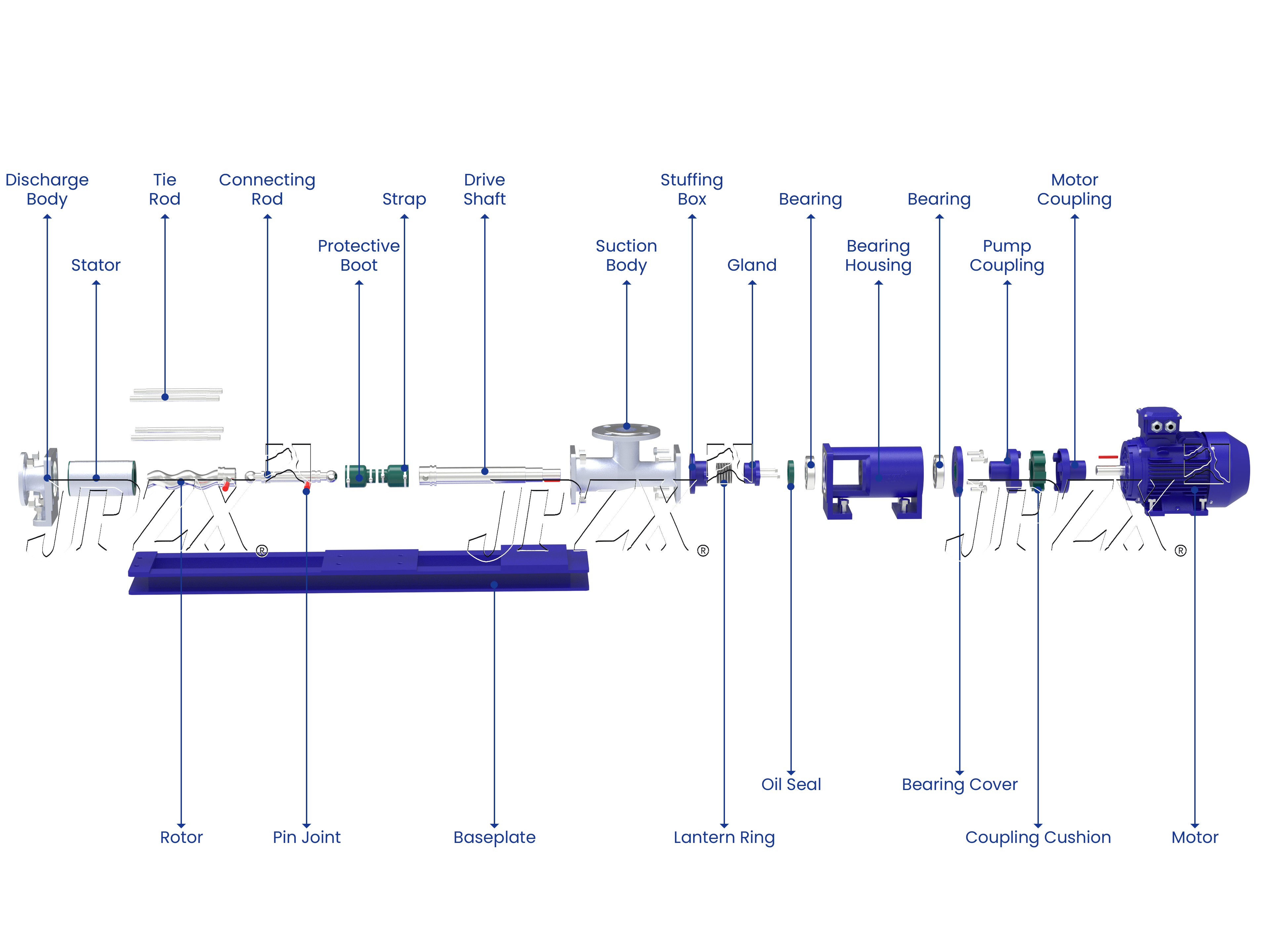G Series Progressive Cavity Pump Single Screw Pump Exploded Assembly View | JPZX