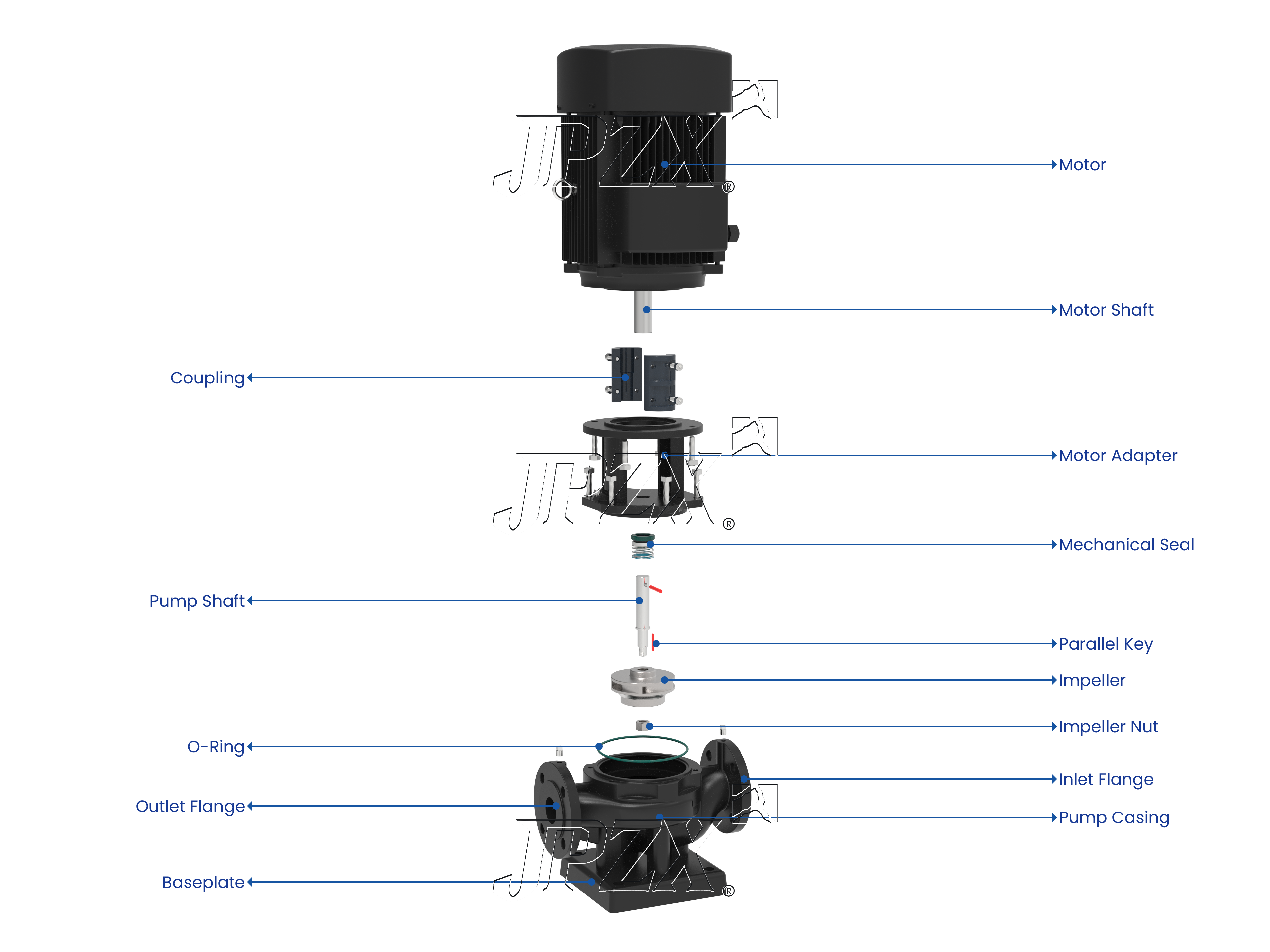 TD Series Vertical In-Line Centrifugal Pump Exploded Assembly Diagram | JPZX
