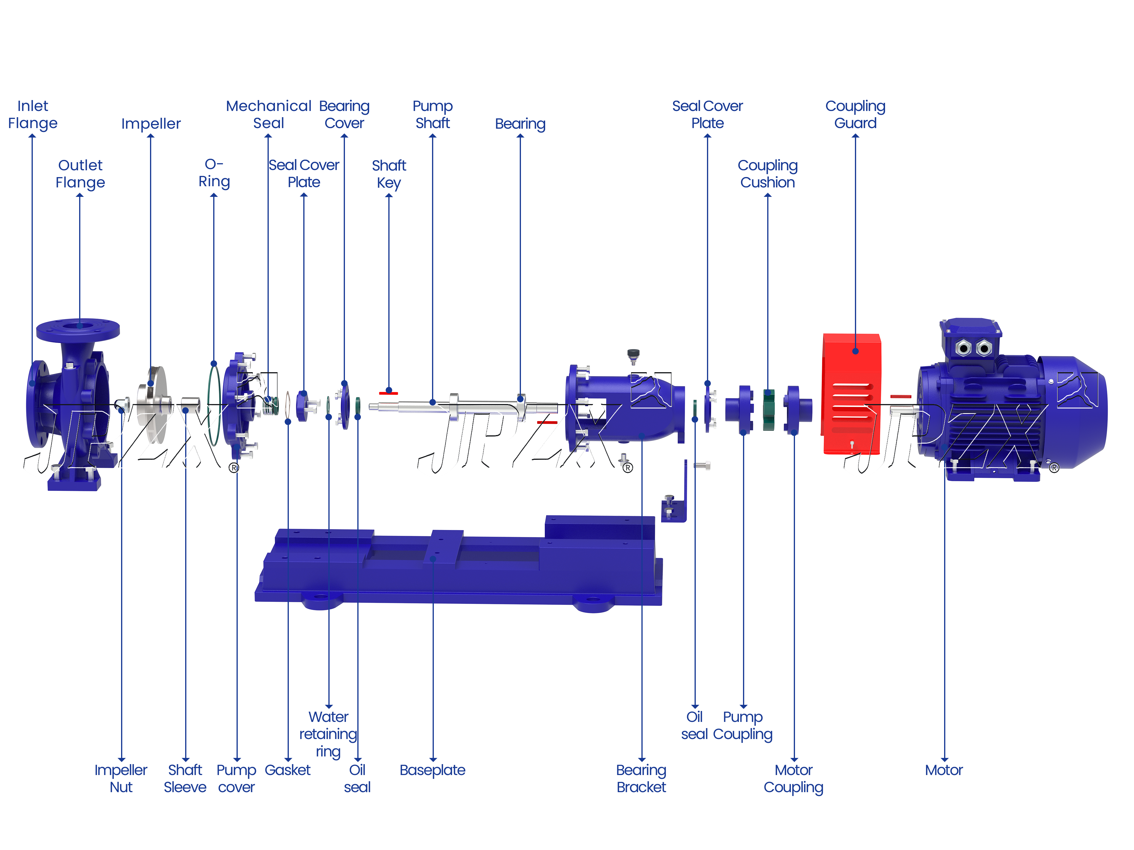 IS Series Horizontal End Suction Centrifugal Pump Exploded Assembly View | JPZX